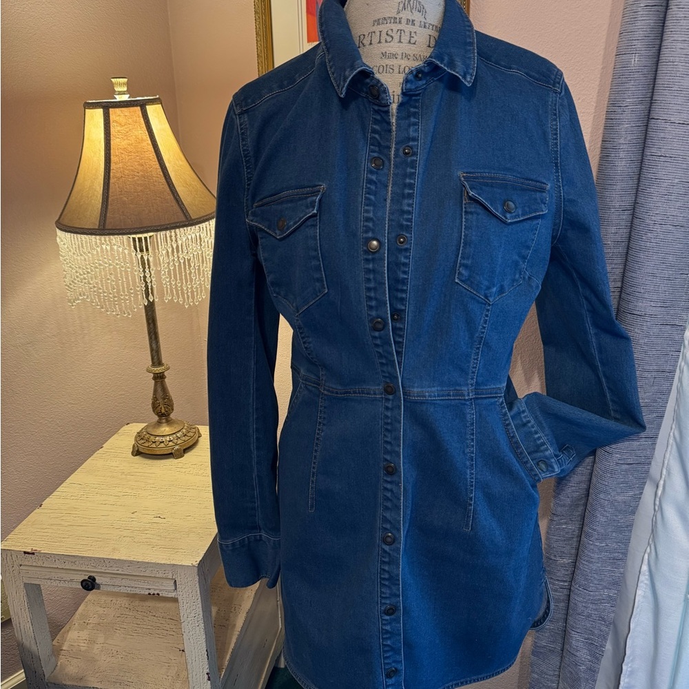 Free People Blue Jean Jacket
